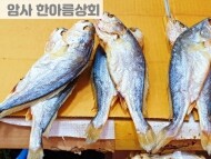 굴비 (보리굴비)1마리