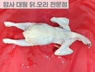 토종닭 (1.6KG)