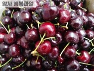 탱글탱글 과즙이 풍부한 체리 (400g)