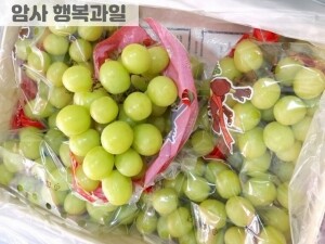 아삭하고 달콤한 애플 청포도 (1kg내외)