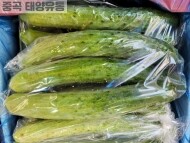 백오이(3개)