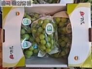 샤인머스켓(2kg)