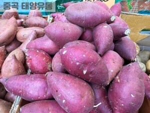 해남 밤고구마(1kg)