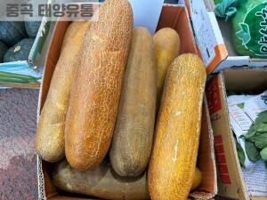 노각