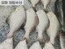 썸네일(스크롤)