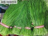 부추(1단)