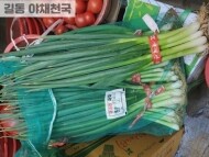 대파(1단)