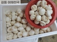 양송이버섯(1소쿠리)