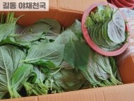 깻잎 (1바구니)