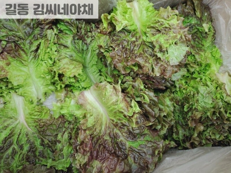빈손장보기,상추(100g)