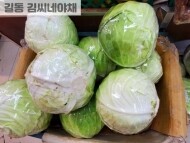 양배추(대, 1통)