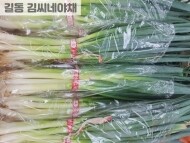 대파(1단)
