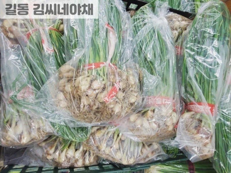 빈손장보기,흙쪽파(1단)