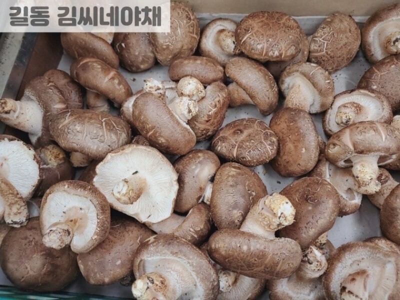 빈손장보기,국산 표고버섯(100g)