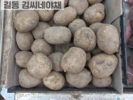 감자(왕특/100g)