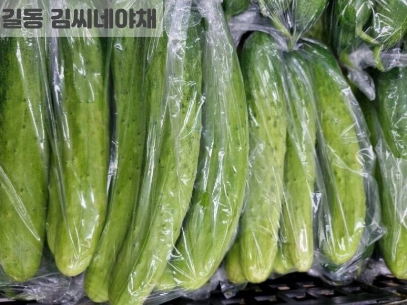 빈손장보기,백오이