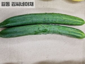 청오이(특2개)