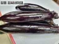 가지(특 3개)