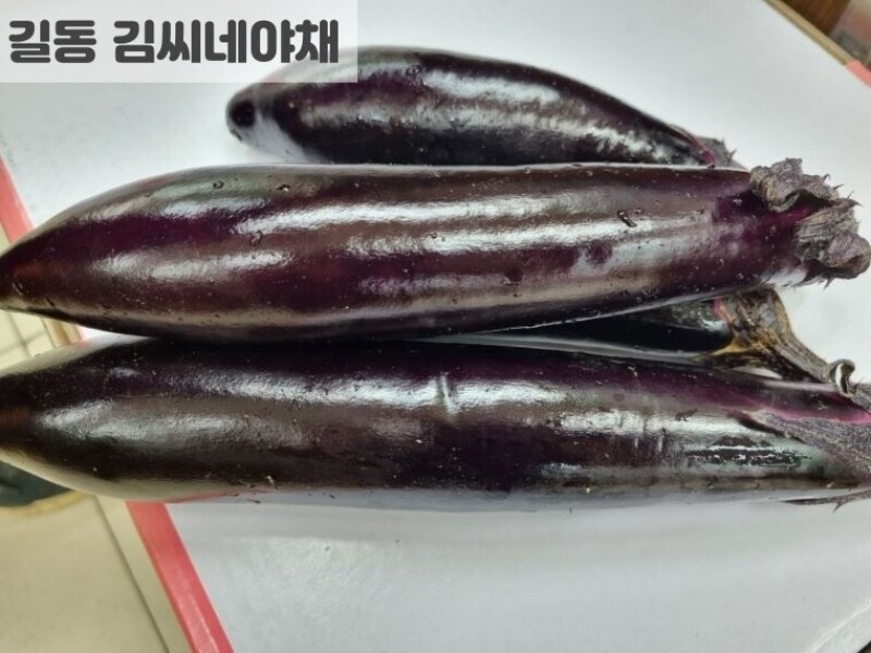 빈손장보기,가지(특 3개)