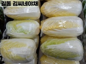 알배기쌈배추