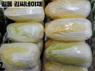 알배기쌈배추