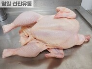 하림 육계 닭(14호)