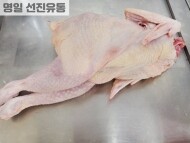 하림 토종닭(2kg)