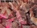 썸네일(스크롤)