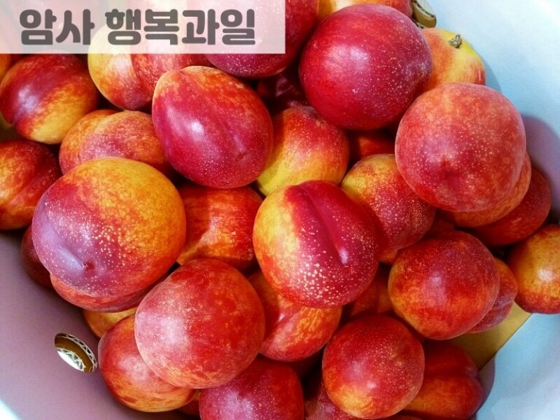 빈손장보기,새콤달콤한 천도복숭아 (1kg 내외)