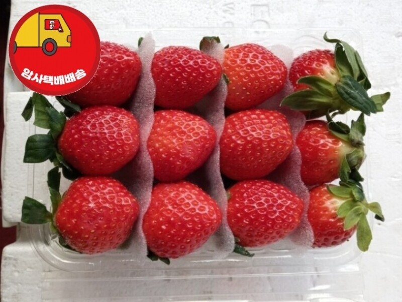 빈손장보기,[암사택배배송]새콤달콤 설향 딸기 (대 1팩)