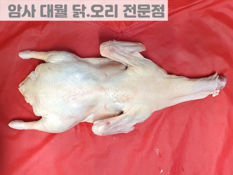 빈손장보기,통오리 (2.7KG)