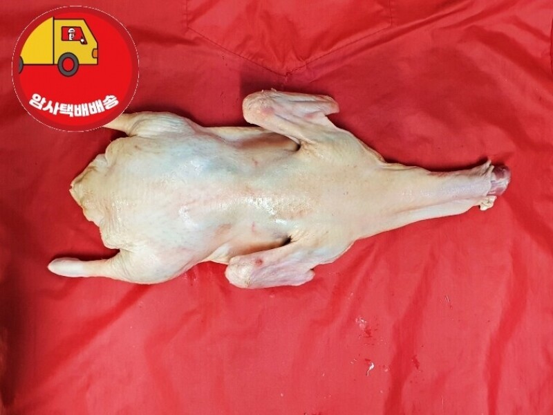 빈손장보기,[암사택배배송]통오리 (2.7KG)