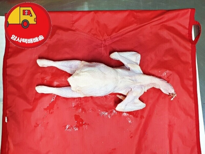 빈손장보기,[암사택배배송]토종닭 (1.6KG)