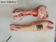 한우사골우족1++(1족)