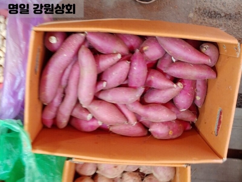 빈손장보기,고구마(1kg)